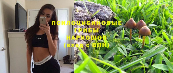 2c-b Абдулино
