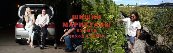 первитин Алексин