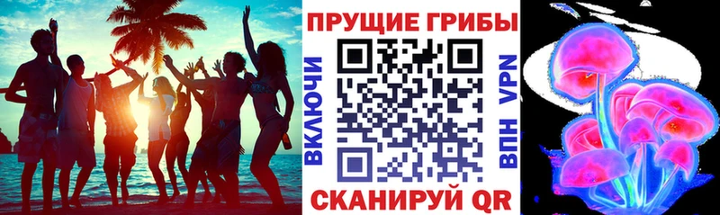 Галлюциногенные грибы Cubensis  где найти   Томари 